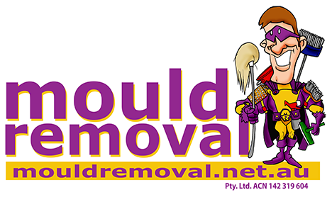 Mould Removal Perth