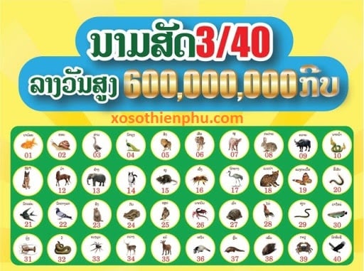 khác - Một số điều thú vị của xổ số Lào | VOZ