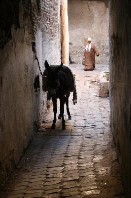 jedna z waskich uliczek mediny Fezu