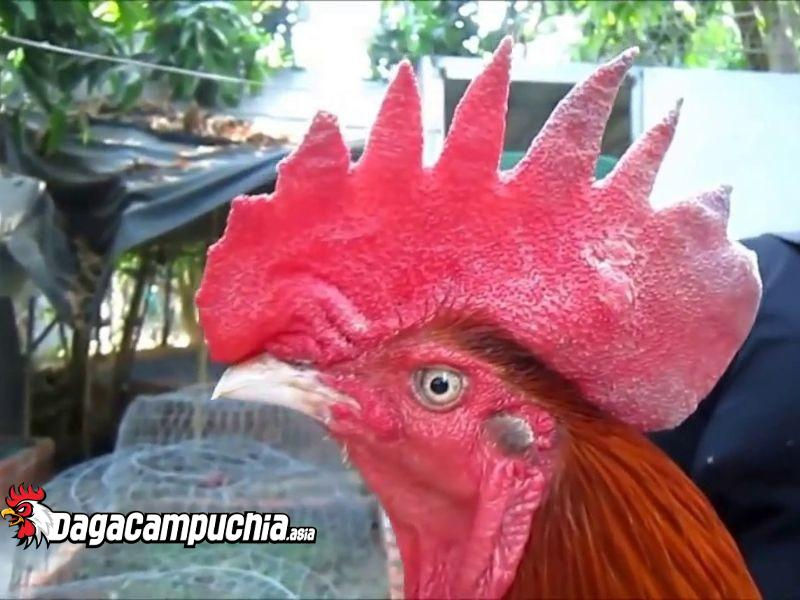 0df8a3d5c9a68c49f798db8e29fb6206.png