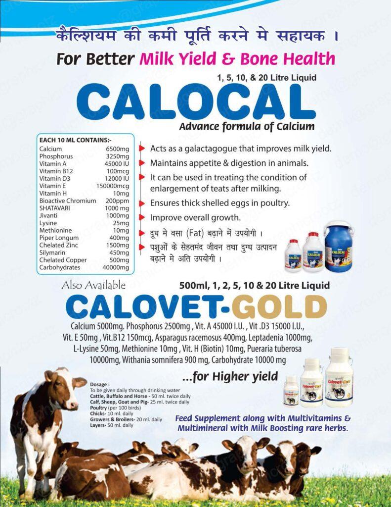 Visual Calocal Gold