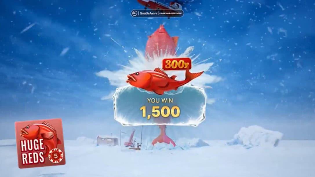 Descubra o Ice Fishing: O novo sucesso dos cassinos ao vivo