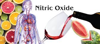 Benefits of Nitric Oxide | Kaufman ...