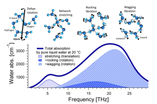 THz Spectroscopy