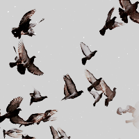 11ad34a6ea397e7c73f013c9e4521287.gif