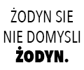 zodyn