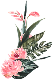 section2-blume_edited.png