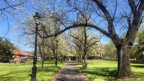Camberwell parks, gardens: Guide to best parks in Camberwell, Victoria