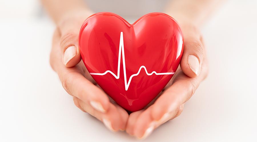 Heart Health Tips For A Healthy Lifestyle - HealthKart