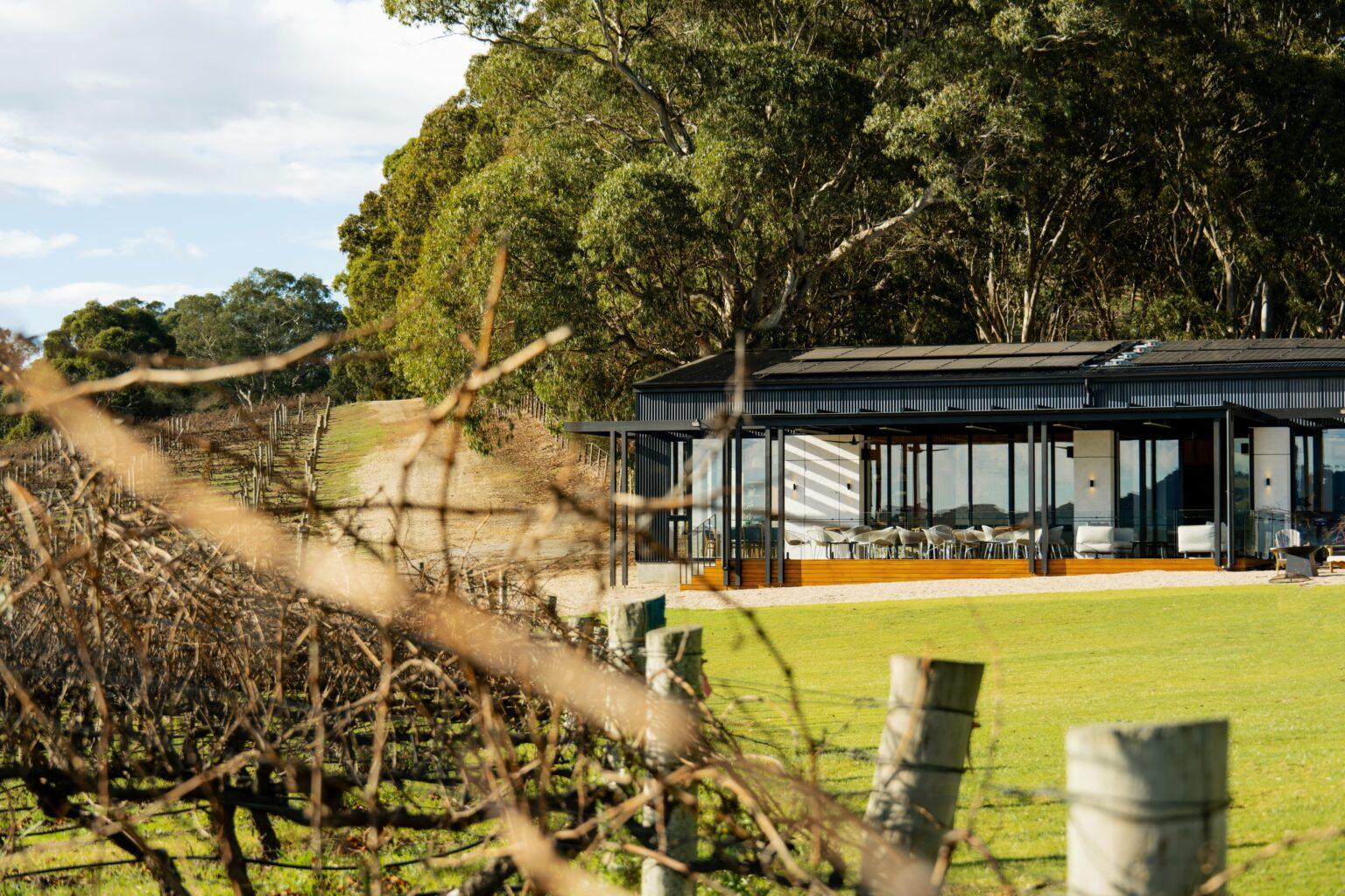 Modern mini-bus parked in a scenic Adelaide Hills location, ideal for group wine tours, private tastings, and exploring winery destinations.
