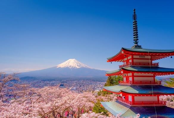 group tours japan