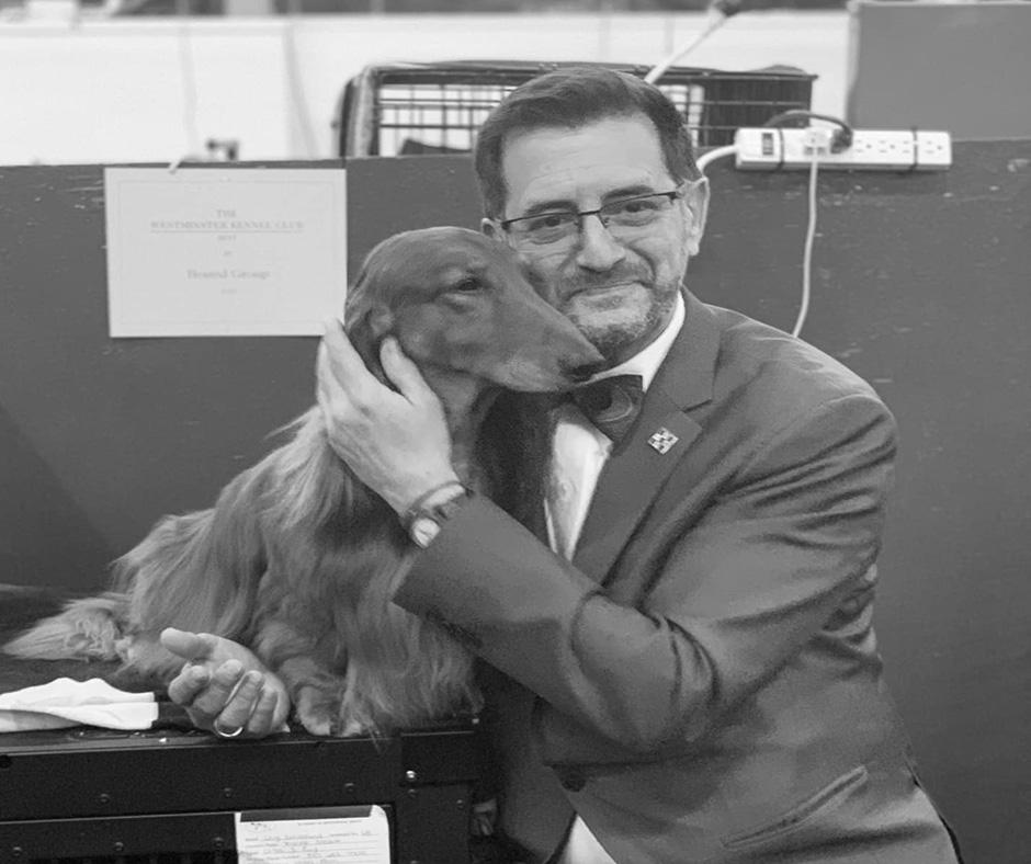 dog brain training