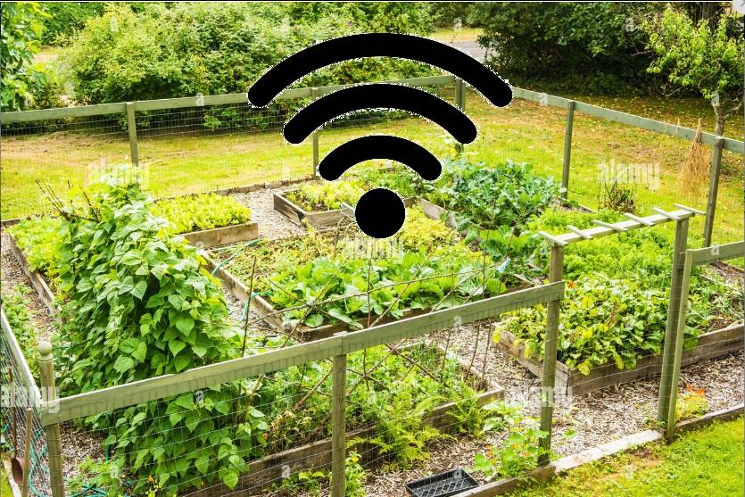 vege-wifi