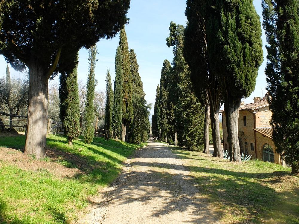 trip to florence and tuscany