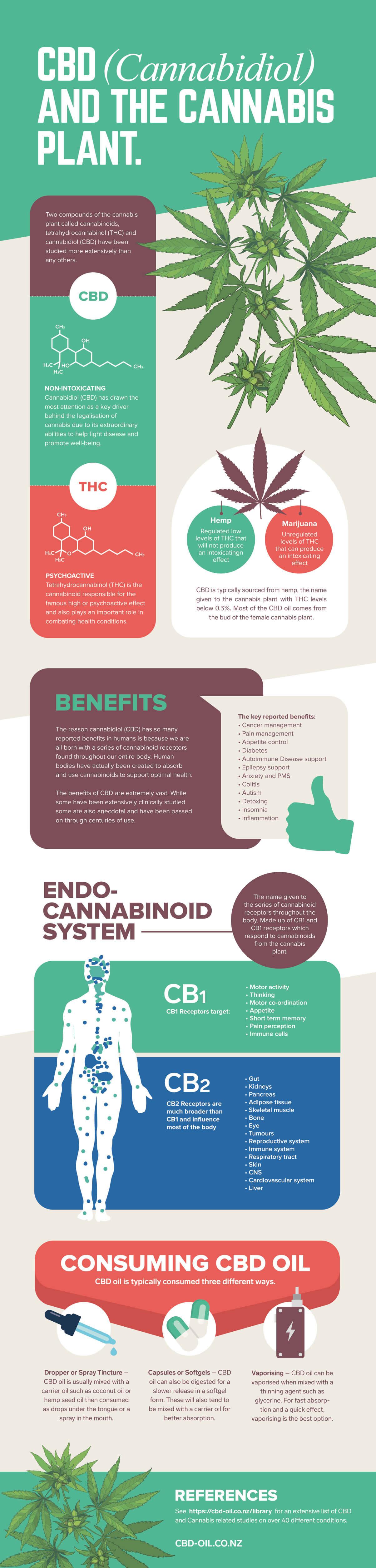 cbd-infographic-3.jpg (1204×5022)