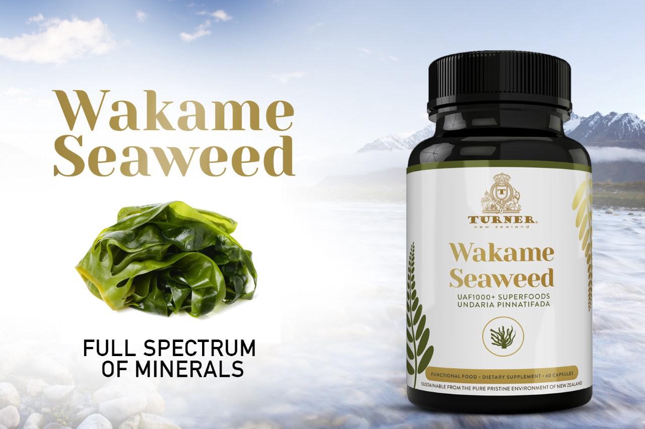 Wakame Seaweed Supplements