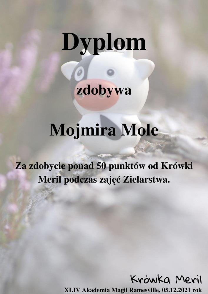 mojmira.jpg