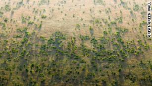 La Grande Muraille Verte d'Afrique vise à ralentir la désertification.