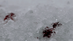 47bf11a776d597873714bb5a84ea53aa.gif