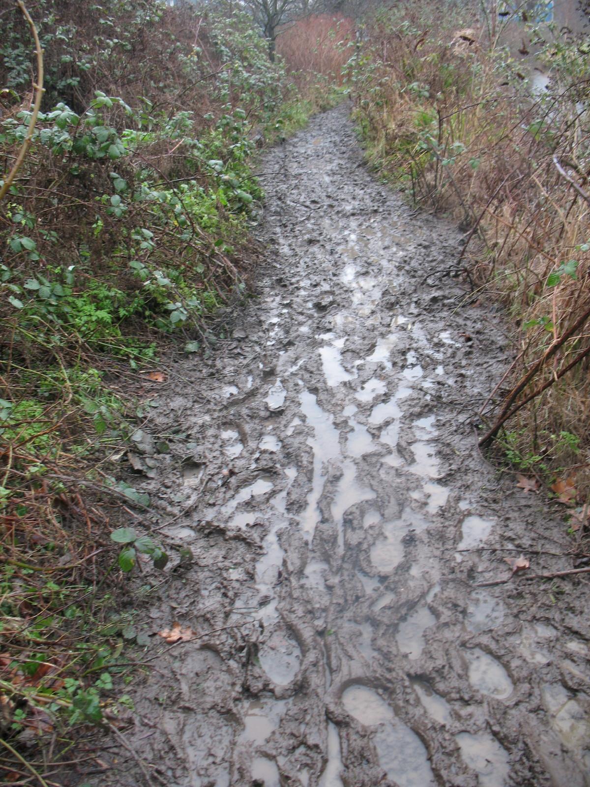 Rising Damp Treatment