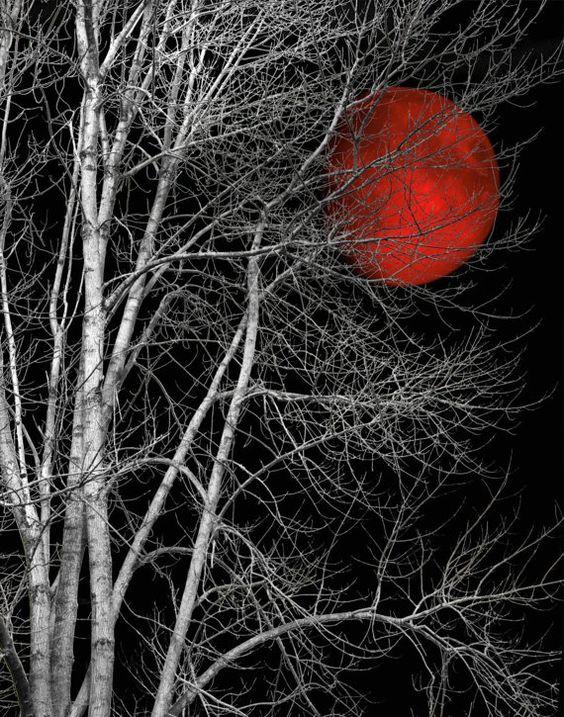 Black White Tree Red Moon Wall Art by LittlePiePhotoArt on Etsy
