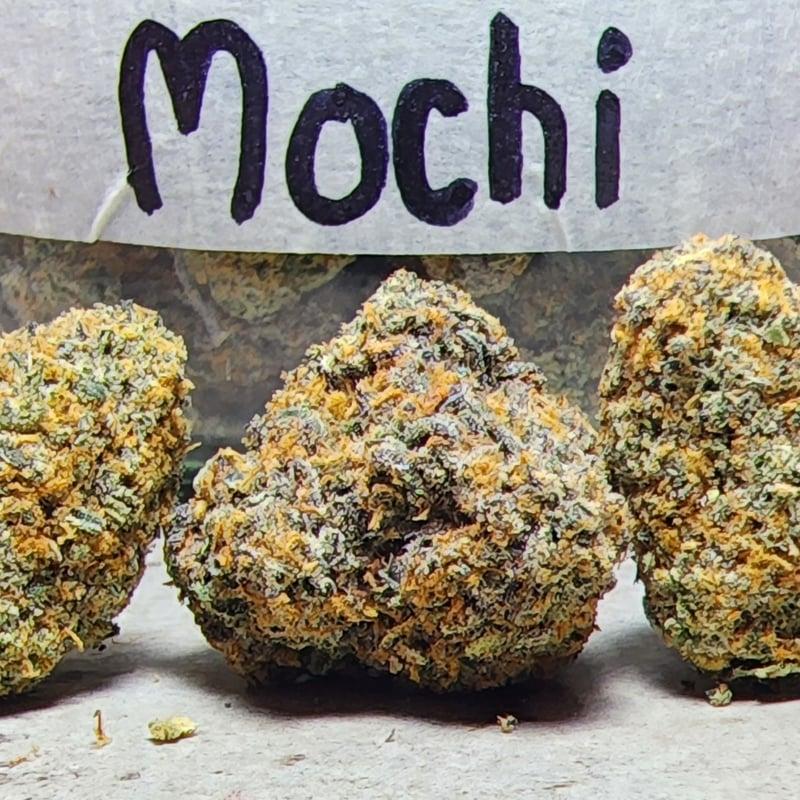 Mochi Cannabis Flower at Phuket Cannabis in Phuket - Weed in Thailand