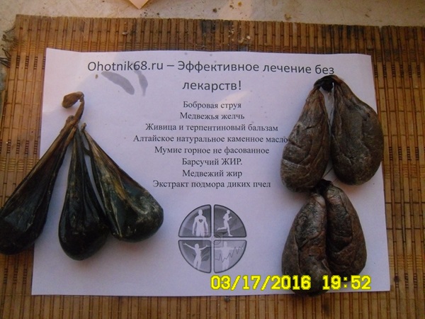 ohotnik68.ru – купить бобровая струя