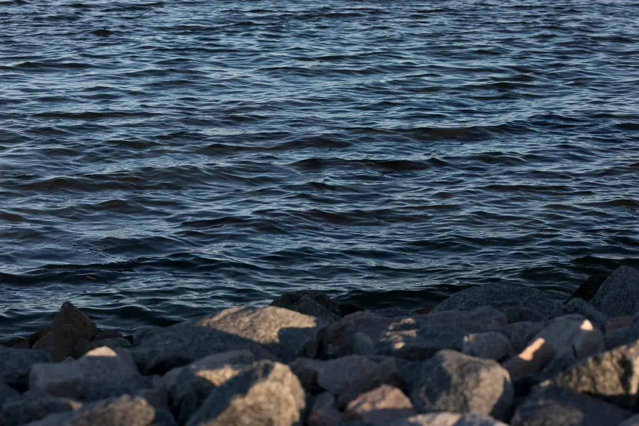 Water from the New River laps at a rocky shore