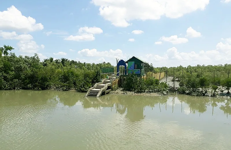 24b46b2255f35d8b9c0c98a9e0158b6a.webp