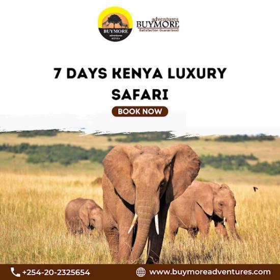 Kenya Luxury Safari