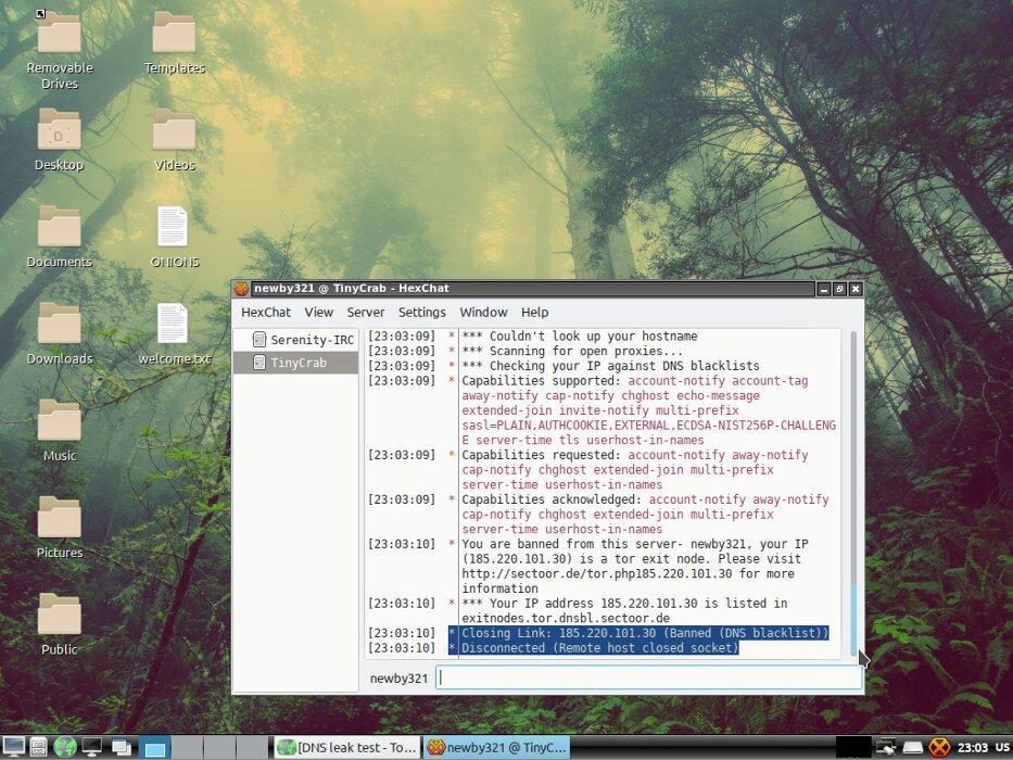 Локи не рад Тору