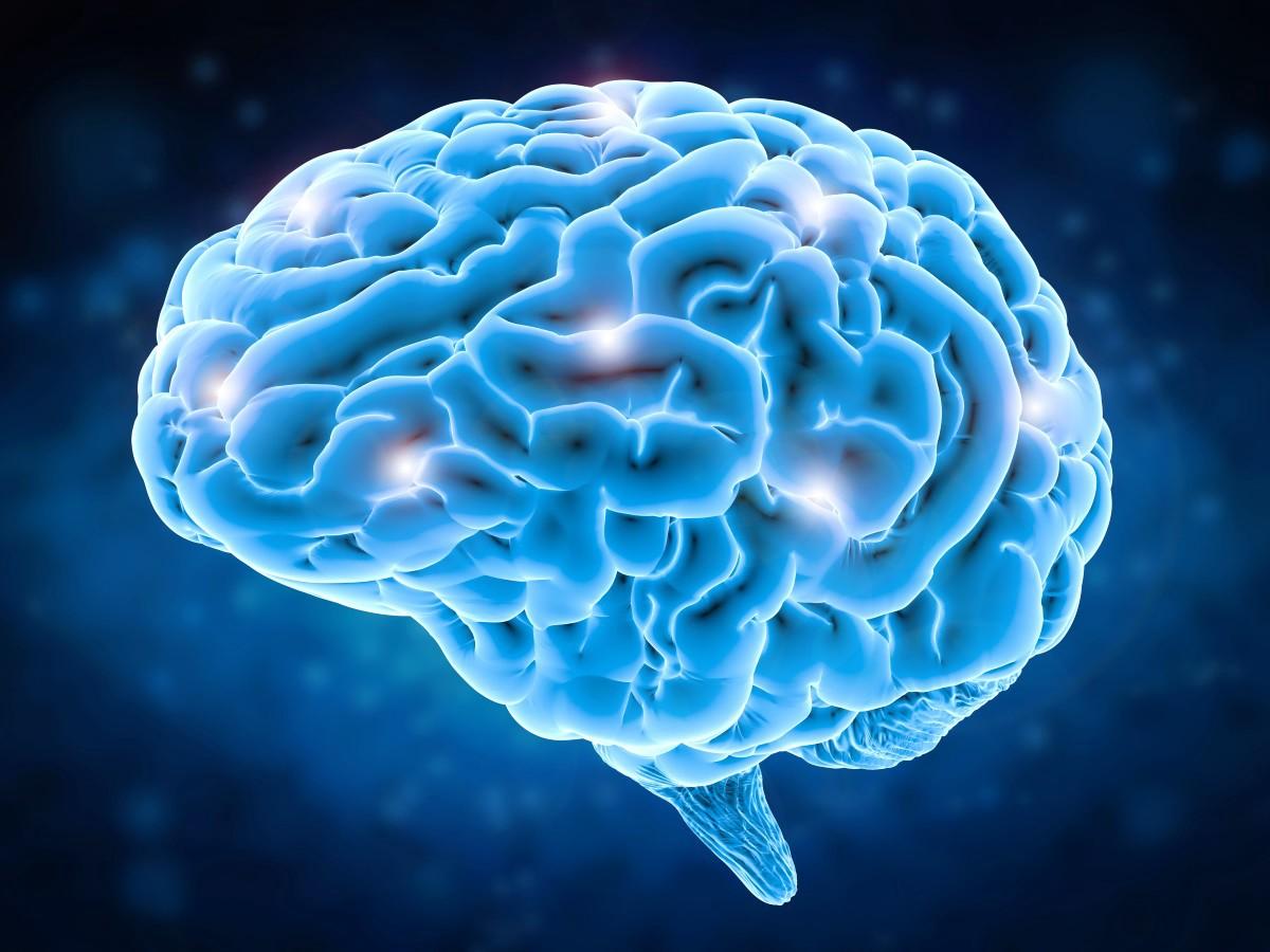 10 Tips To Boost Your Brain Power In 2019 - The Post Grad Survival ...
