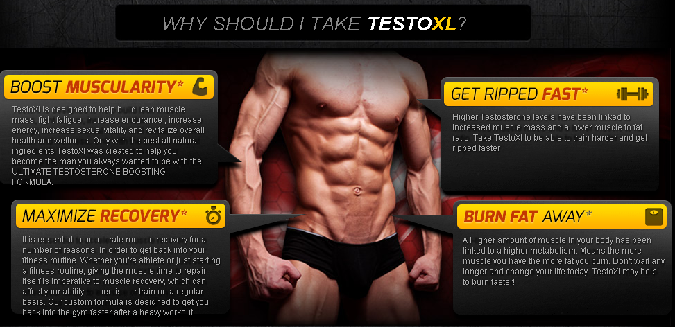 TESTOXL does it work