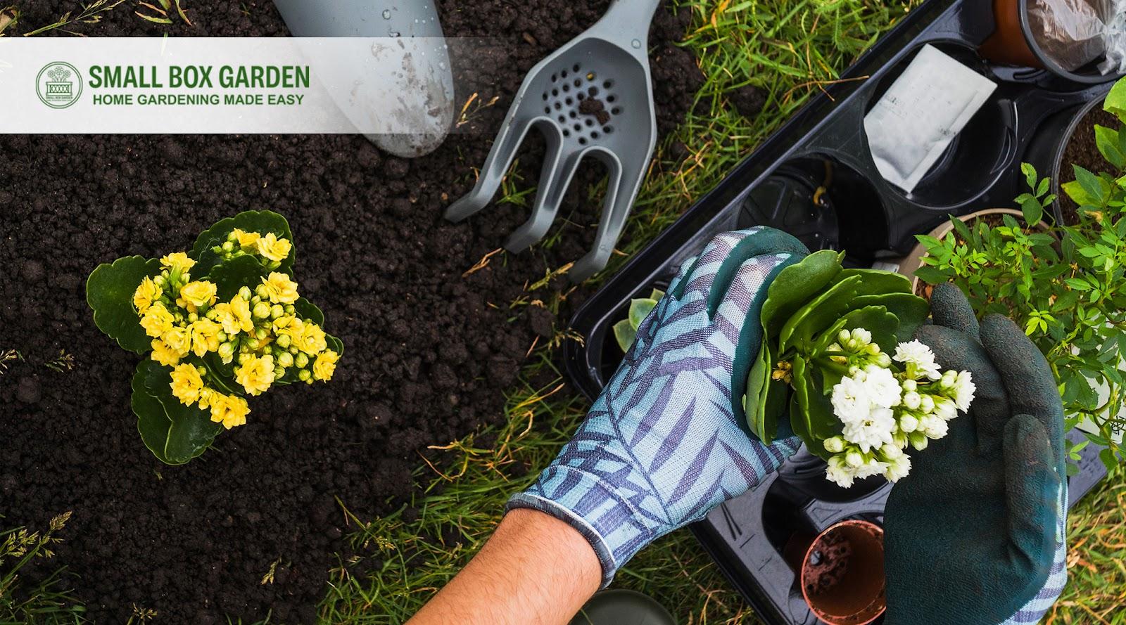 6 Best Garden Maintenance Tips for Summer 6 Best Garden Maintenance Tips for Summer