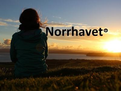 Konsulttjänster För Digitala Byråer