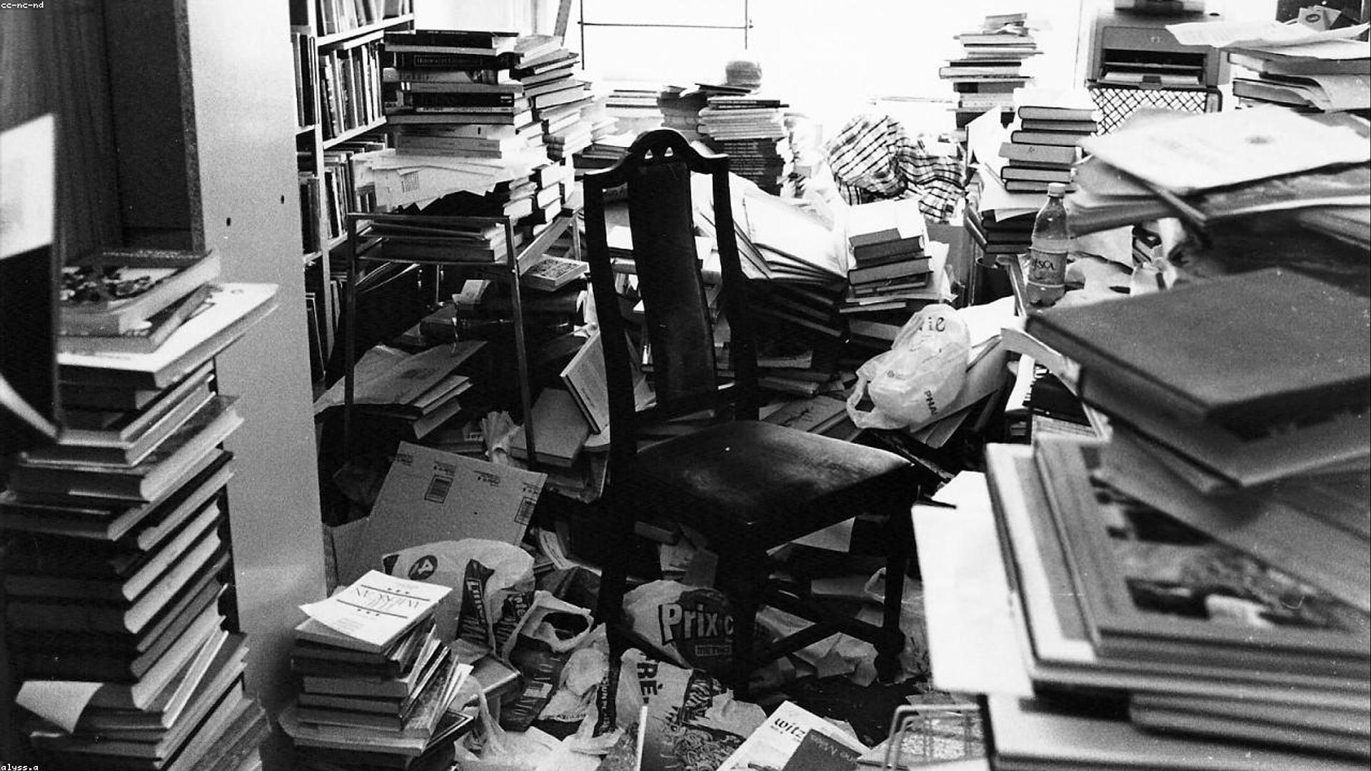 Download Instagram Videos Free in High Quality Instantly