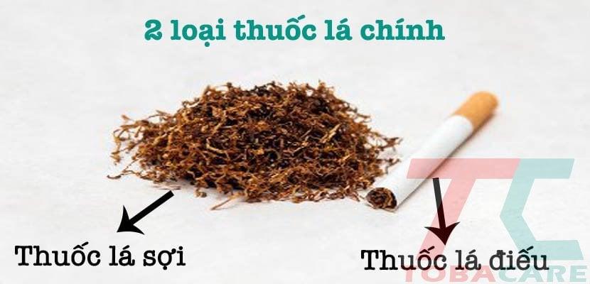 thuốc lá là gì? phân loại thuốc lá