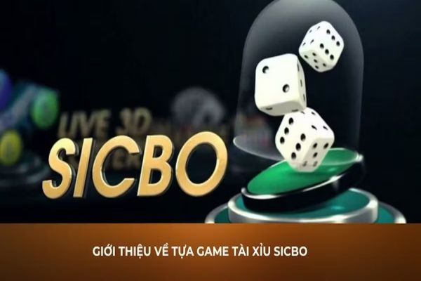 Hướng dẫn chơi tài xỉu sicbo online