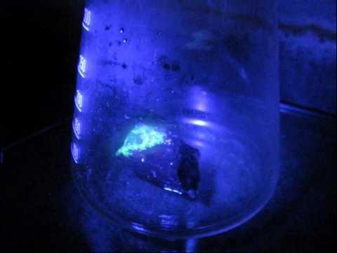 nitric acid sales