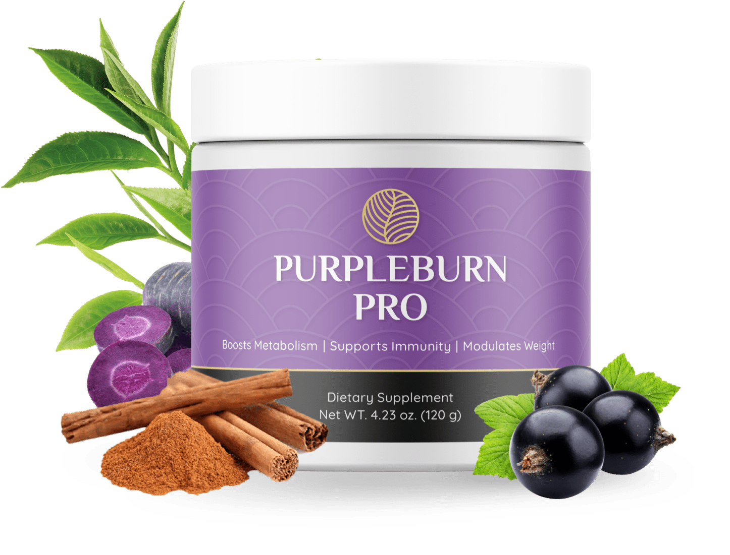 PurpleBurn Pro discount