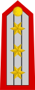 Colonel