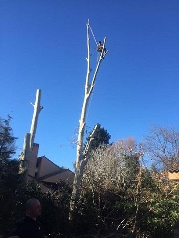 Cesped natural Madrid