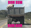 bumbumbumbum
