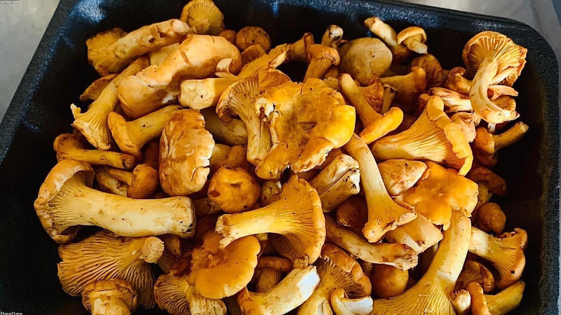 Elevate Your Culinary Journey with Panther Fly Agaric Mushrooms