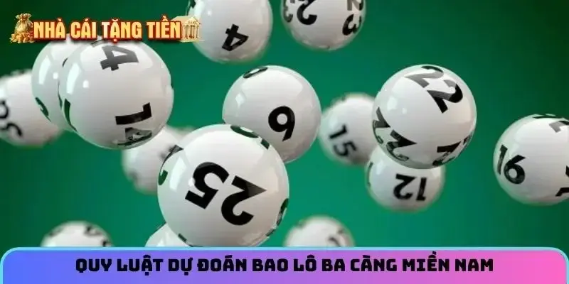 Quy lu?t d? ?o&aacute;n bao l&ocirc; ba c&agrave;ng mi?n Nam