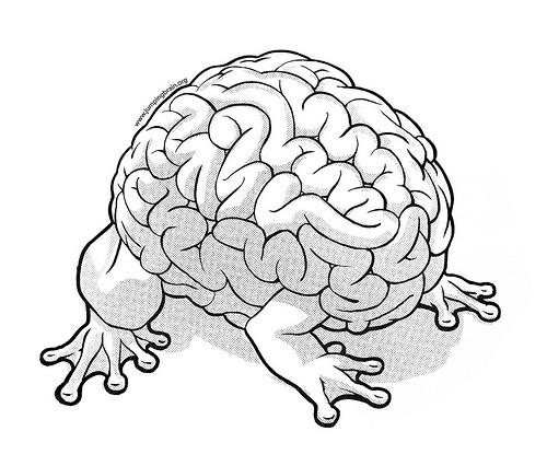 brain-pic1_small.jpg