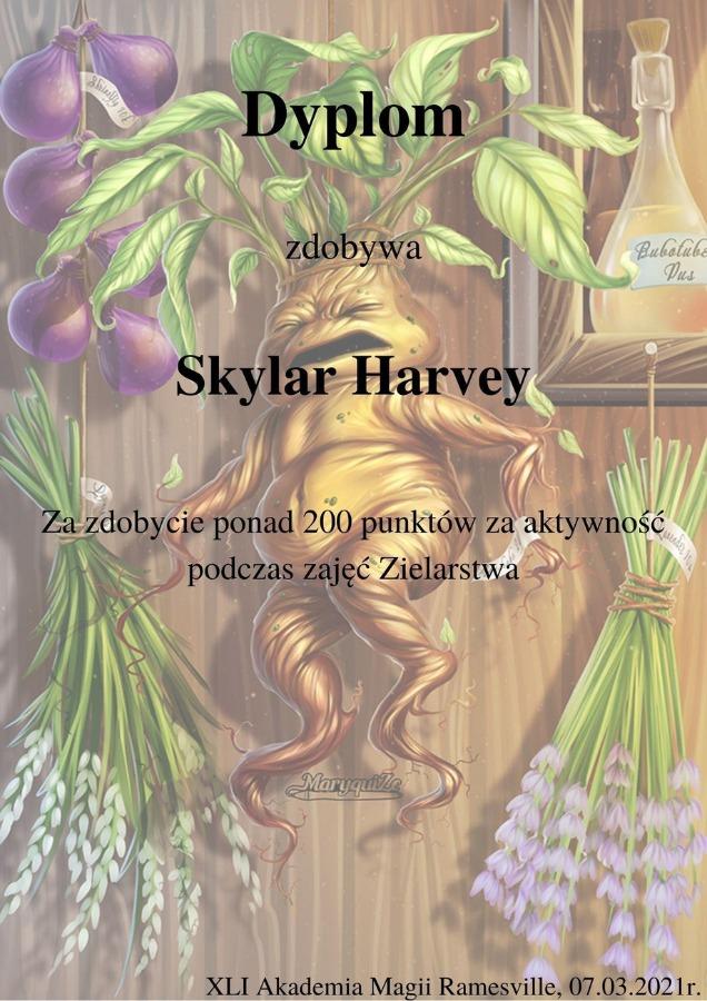 skylar.jpg