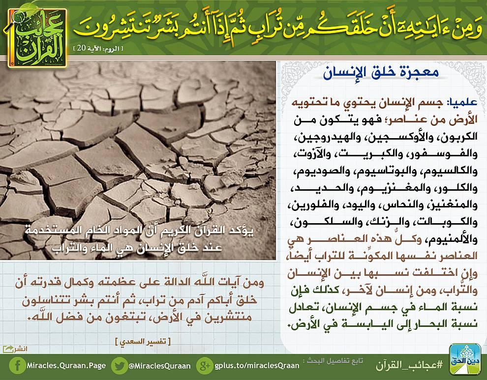 لا يتوفر نص بديل تلقائي.