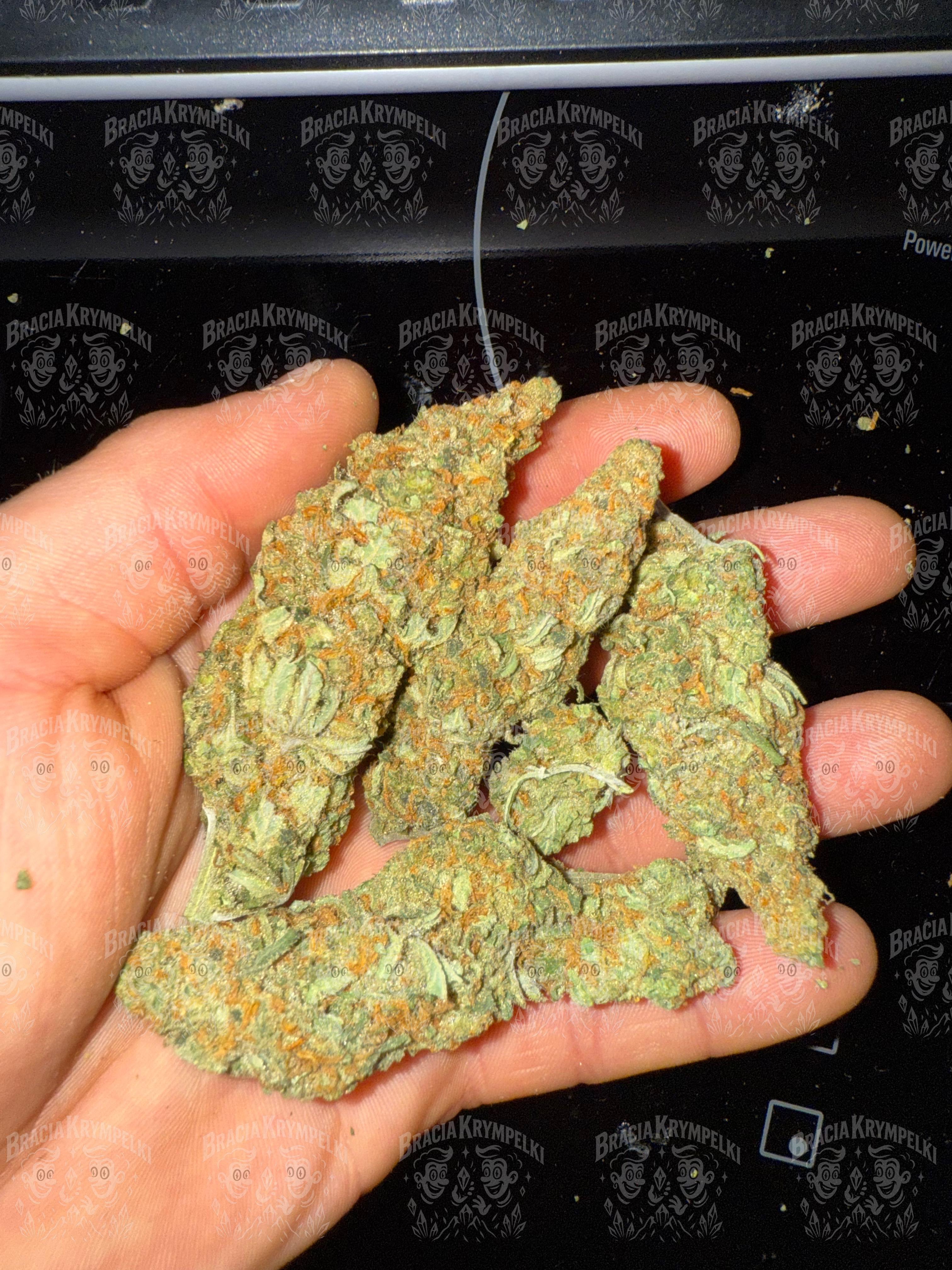 Zdjęcie poglądowe - White Gorilla Haze