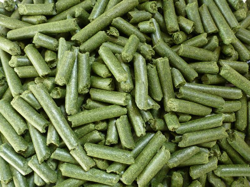 Buy Hay Pellets Wholesale Supplier